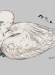A Little Story About a Fish Thief Who Steals With Impunity